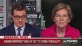 Sen. Warren on Her ‘Wealth Tax’ Proposal: We’ll Ensure No One Can Hide Assets Anywhere