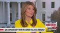 Nicolle Wallace: ‘Why Don’t Democrats Offer Him a Dollar for Every Child Reunited with Their Parents?’