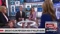 MSNBC’s Nicolle Wallace: Trump May Throw a Reporter ‘in Jail’ During 2nd Term