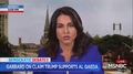 Tulsi Gabbard Spars with MSNBC Anchor: ‘These Are Talking Points that Kamala Harris and Her Campaign Are Feeding You’