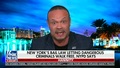 Bongino: ‘Liberalism Is a Forest Fire’ and When They Run a Big City ‘You Get More Criminality’