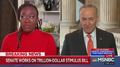 Schumer on Coronavirus: If You Lose Your Job ‘for Any Reason,’ Dems Want to Give You Full Pay