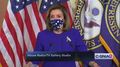 Pelosi Snaps at Reporter Who Tries Asking Her About Hunter Biden