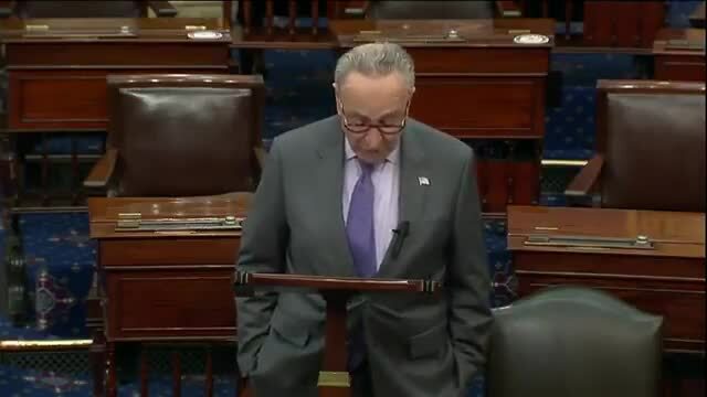 Schumer Slams Sen. Hawley for Trying ‘to Amplify and Burnish [Trump’s] Ludicrous Claims of Fraud’