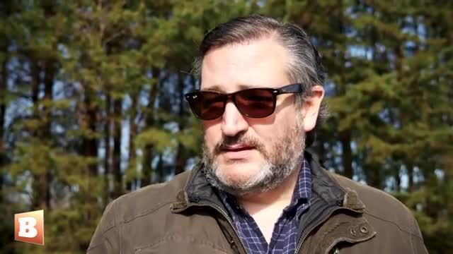 Ted Cruz: ‘Google Is the Most Dangerous Company on the Face of the Planet’