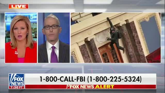 Trey Gowdy Explodes After Sandra Smith Asks Who Sent Mob to the Capitol: ‘Did You Hear the President’s Speech?!’