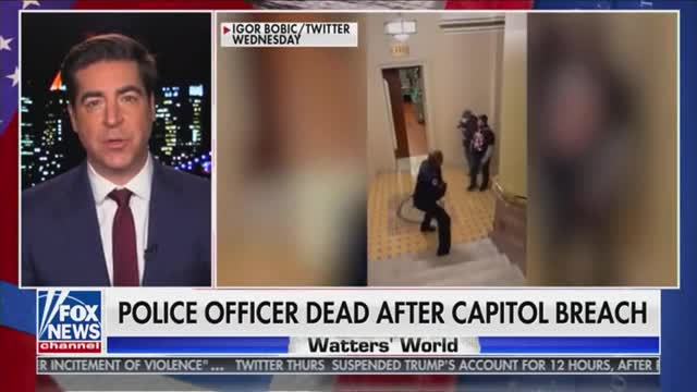 Bongino: There Was Nothing That Would Indicate There’d Be Violence on Capitol on Wednesday