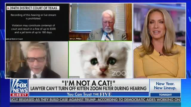 Greg Gutfeld Mocks Wokeness Lawyer Stuck With Zoom Cat Filter Is Guilty Of Cultural Appropriation Grabien The Multimedia Marketplace