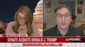 Nicolle Wallace: The Constitution Is the Republicans’ Whole ‘Schtick’
