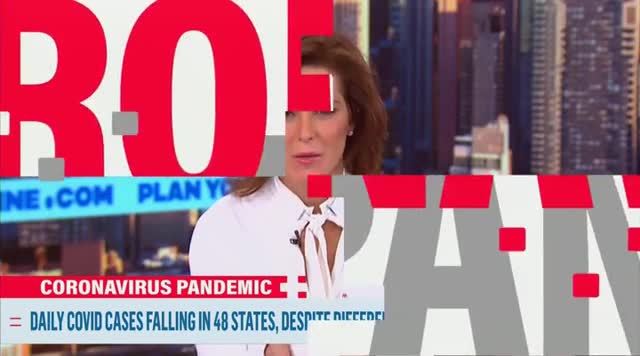 MSNBC’s Ruhle to Biden Covid Adviser: Calif. Is in Lockdown ‘and Their Numbers Aren’t that Different from Florida’