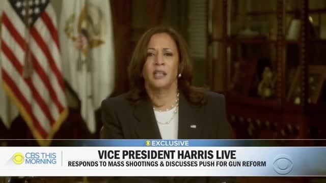 VP Harris: ‘Stop Pushing the False Choice that This Means Everybody’s Trying To Come After Your Guns’