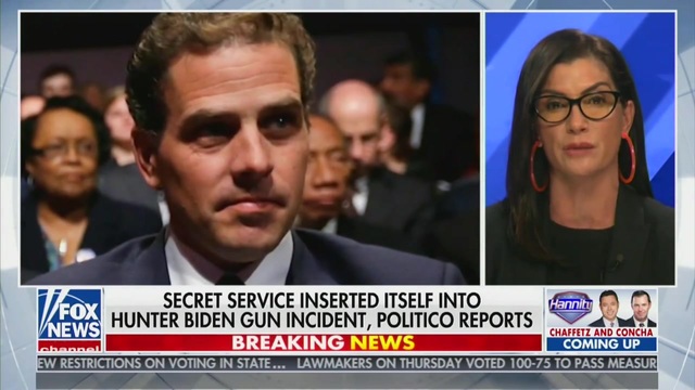 Dana Loesch: Hunter Smoking Crack Would Violate Firearms Transaction Record