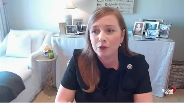 Rep. Lizzie Fletcher Suggests Tech CEOs Should Help Congress Treat Pro-Trump Activists Like Terror Groups