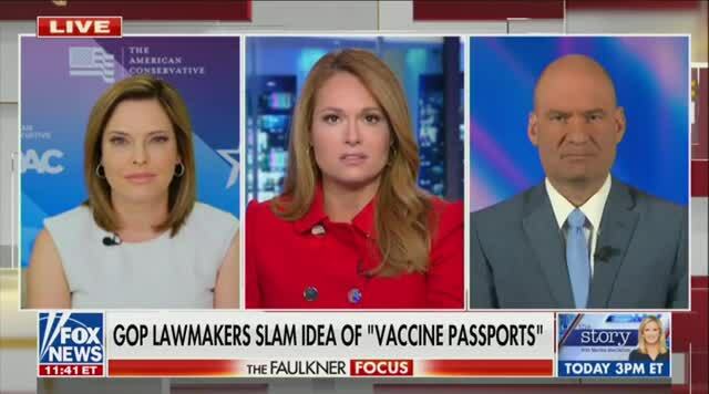 Chris Hahn Yells at Mercedes Schlapp over Covid Passports: You’re Liar and ‘a Grifter’