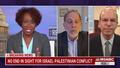 MSNBC Guest Compares Israel Responding to Hamas Rockets to Mass Killings of Blacks During Jim Crow