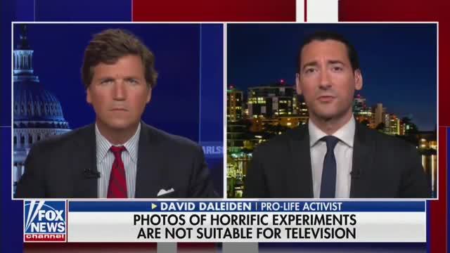 Pro-Life Activist: Fauci’s Dept. Helped Fund Horrific Research Involving Aborted Babies