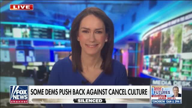 Jessica Tarlov: ‘Cranky’ Democrats Push Back Against Cancel Culture