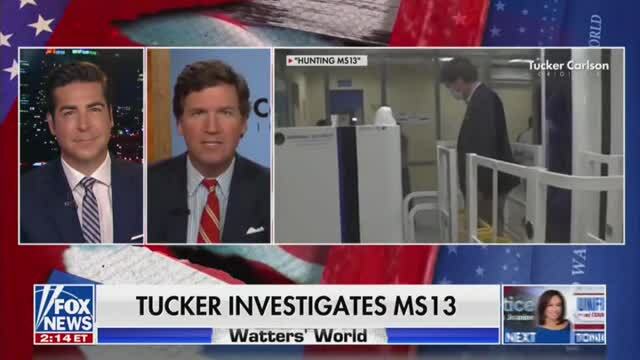 Tucker Carlson on Mara Gay: ‘Only in a World with Privilege Could Someone That Stupid Have That Much Influence’