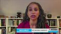 Maya Wiley: I’m Shifting $1 Billion Dollars from the NYPD; I Haven’t Decided Whether I’d Disarm the Police