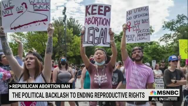 Chris Hayes Slams Anti-Abortion Group’s ‘Completely Creepy Dystopian Tip Line’: ‘Does That Sound Like a Free Society to You?’