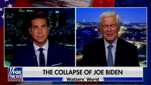Newt: Biden ‘Is Feeling Snubbed and Betrayed,’ He Thought Everybody Would Love Him
