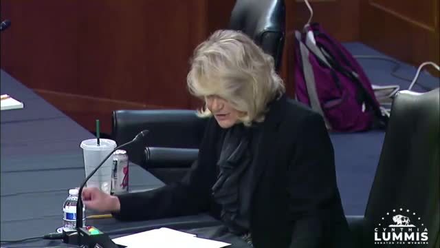 Sen. Lummis: Bank Customers Are Not Subjects of the Federal Government; Banks Do Not Work for the IRS