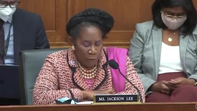 Dem Rep. Sheila Jackson Lee: The Southern Border Is Both ‘Sovereign and Secure’