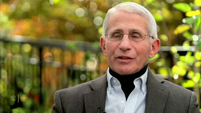 Fauci: There’s a Misplaced Perception of Placing Individual Rights over Societal Safety
