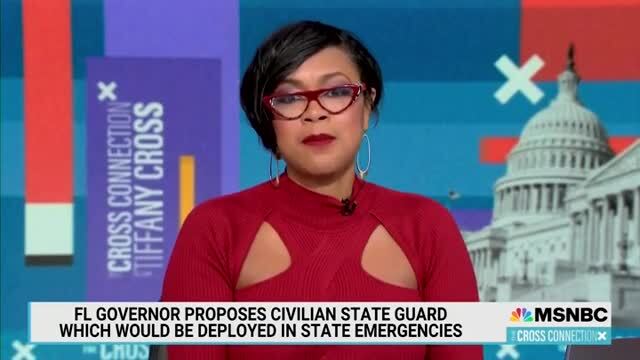MSNBC Panel Worries Fla. Civil Guard Will Be Used to Shoot Looters, Kidnap a Governor
