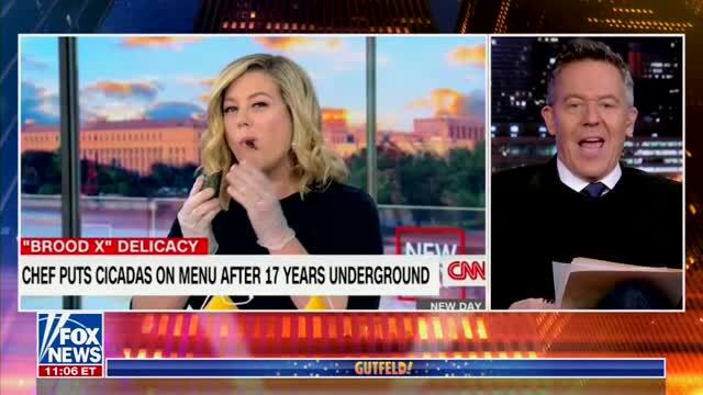 Gutfeld Slams Brianna Keilar for Mocking Fox Christmas Tree Burning: If She Was Any Dumber, She Could Replace Cuomo’s Seat